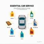 Car Service Essentials: Oil, Filters, and Fluids