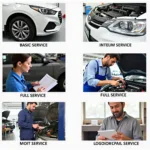 Types of Car Service Tauranga