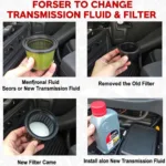 Car Transmission Fluid Change Process