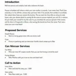 Example of a Professional Car Wash Service Proposal Letter