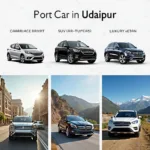 Choosing the Right Car for Your Udaipur Trip: Consider Budget, Terrain, and Travel Style