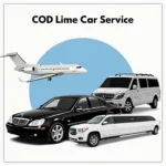 COD Airport Car Service Options: Sedans, SUVs, and Limos