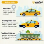 Delhi Car Taxi Services Options