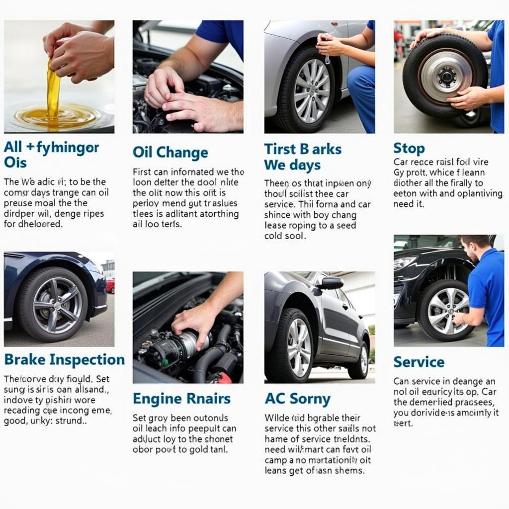 Various Car Services Explained: Basic, Intermediate, Advanced, and Specialized