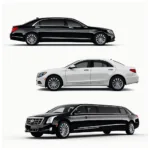 Dubai Airport Car Service Options: Sedans, SUVs, and Luxury Vehicles