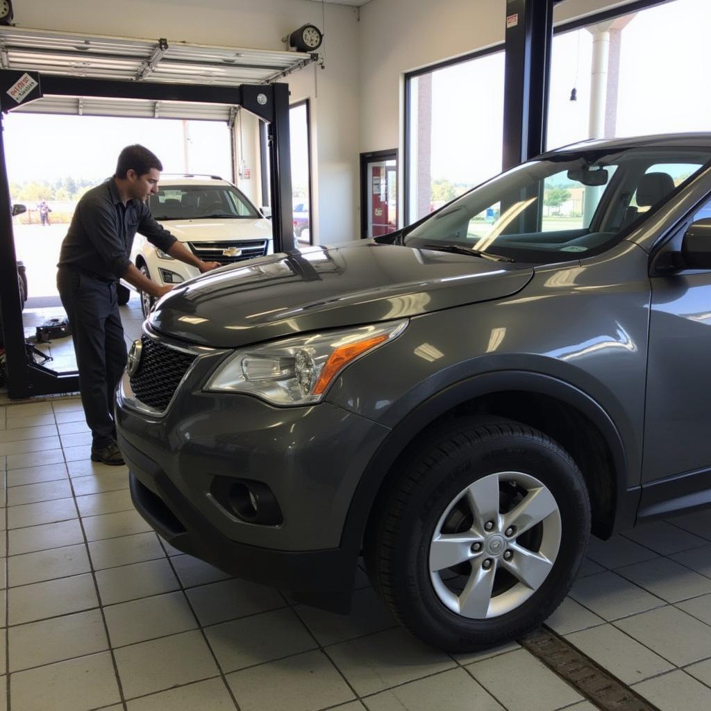 Routine Car Maintenance in Fairview