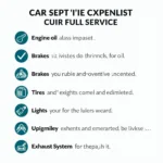 Comprehensive Car Service Checklist in Brighton