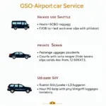 GSO Airport Car Service Options: Shared Ride, Private Sedan, SUV