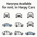 Diverse car rental options available in Haryana