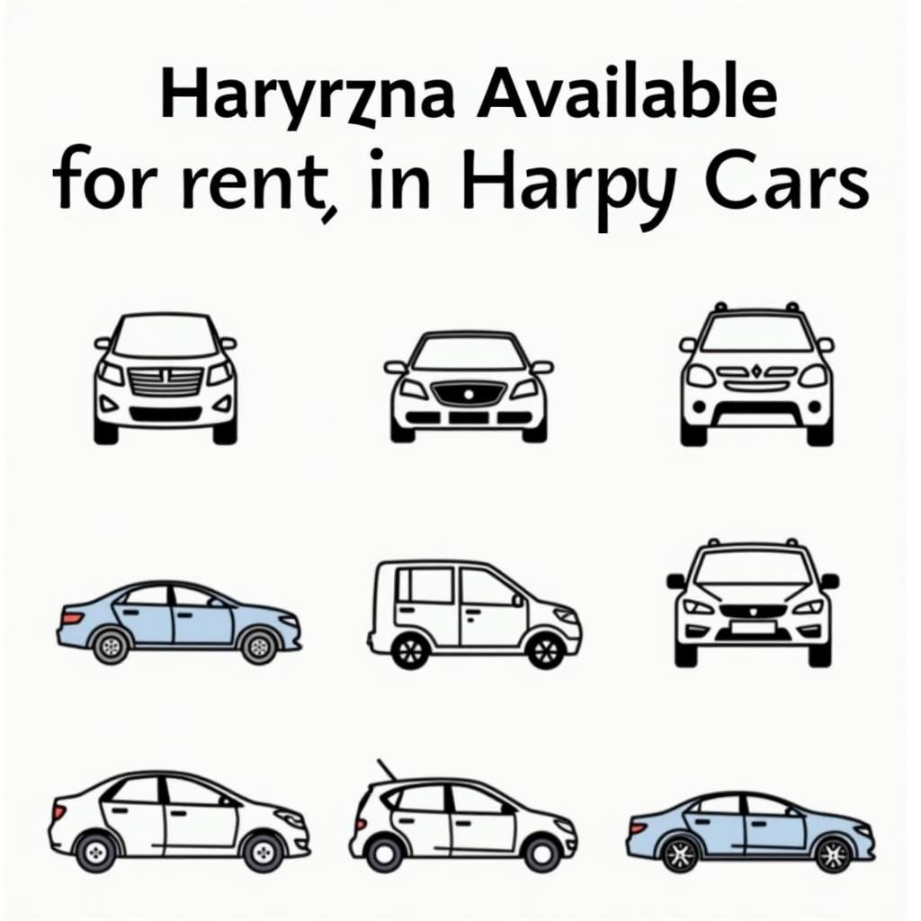 Diverse car rental options available in Haryana