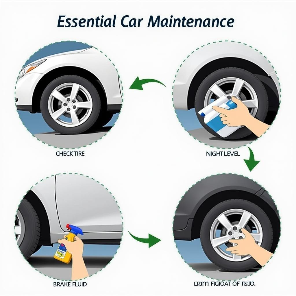 Regular Maintenance Tasks for a Honda Car