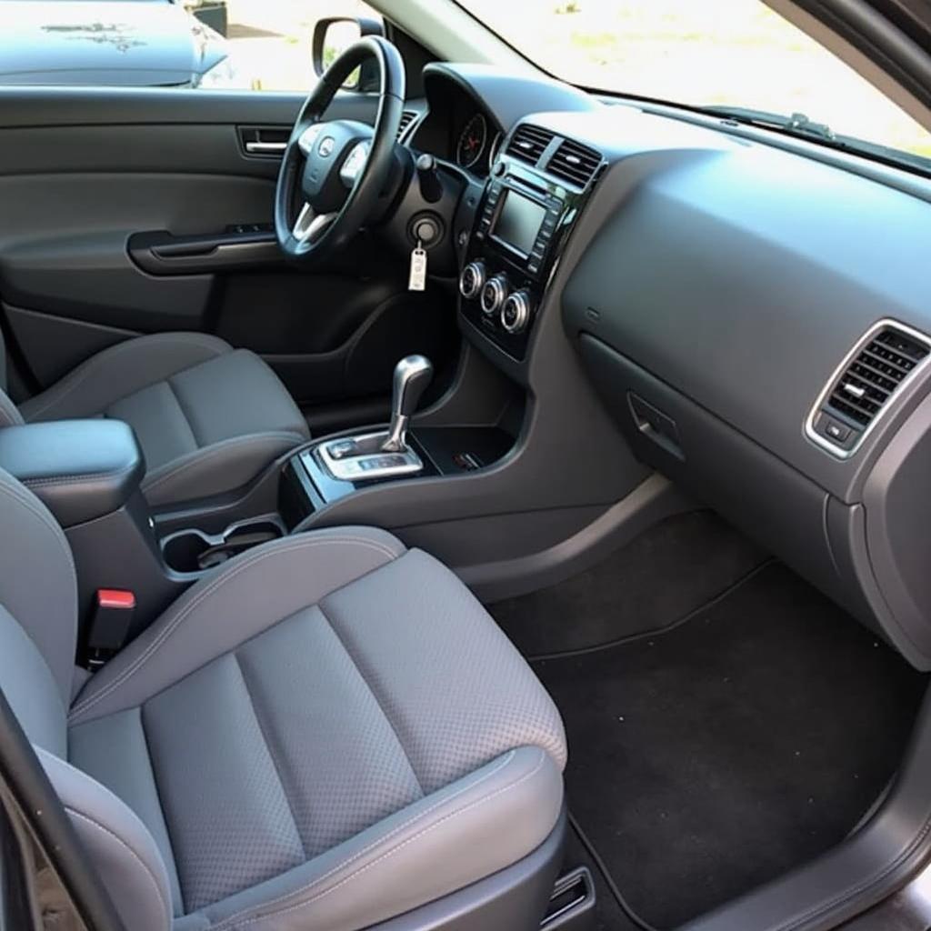 Interior car detailing services in Wetherill Park