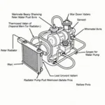 Jaguar Coolant System Diagram