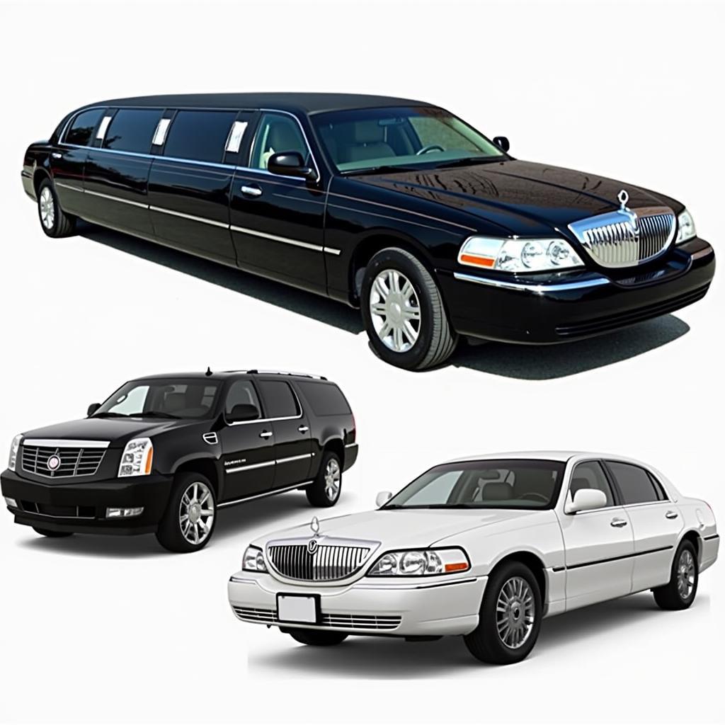 Variety of Limousine Options in Los Angeles