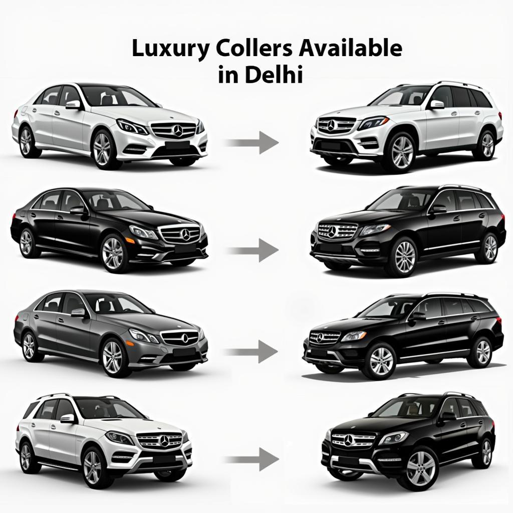 Luxury car rental fleet options in Delhi