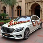 Luxury Wedding Car Rental in India