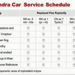 Example of a Mahindra Car Service Schedule