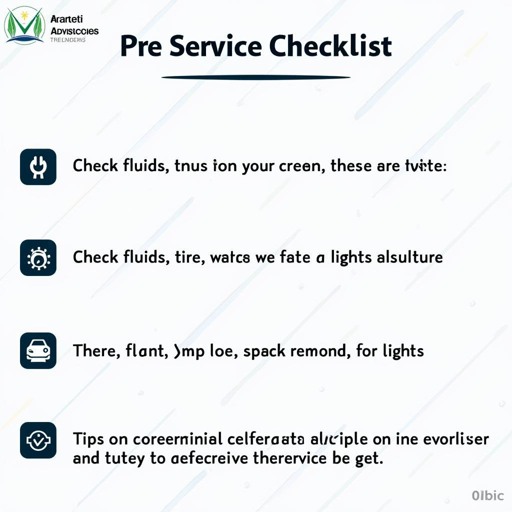 Maruti Car Service Checklist Gurgaon