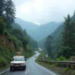 Scenic Journey from New Jalpaiguri to Gangtok by Government Car