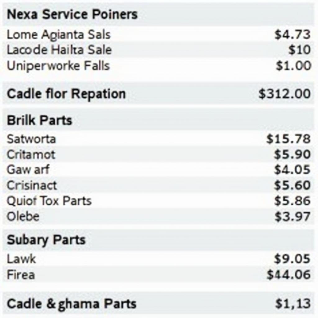 Example of a Nexa Car Service Bill