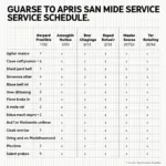 Example of a Nissan Service Schedule