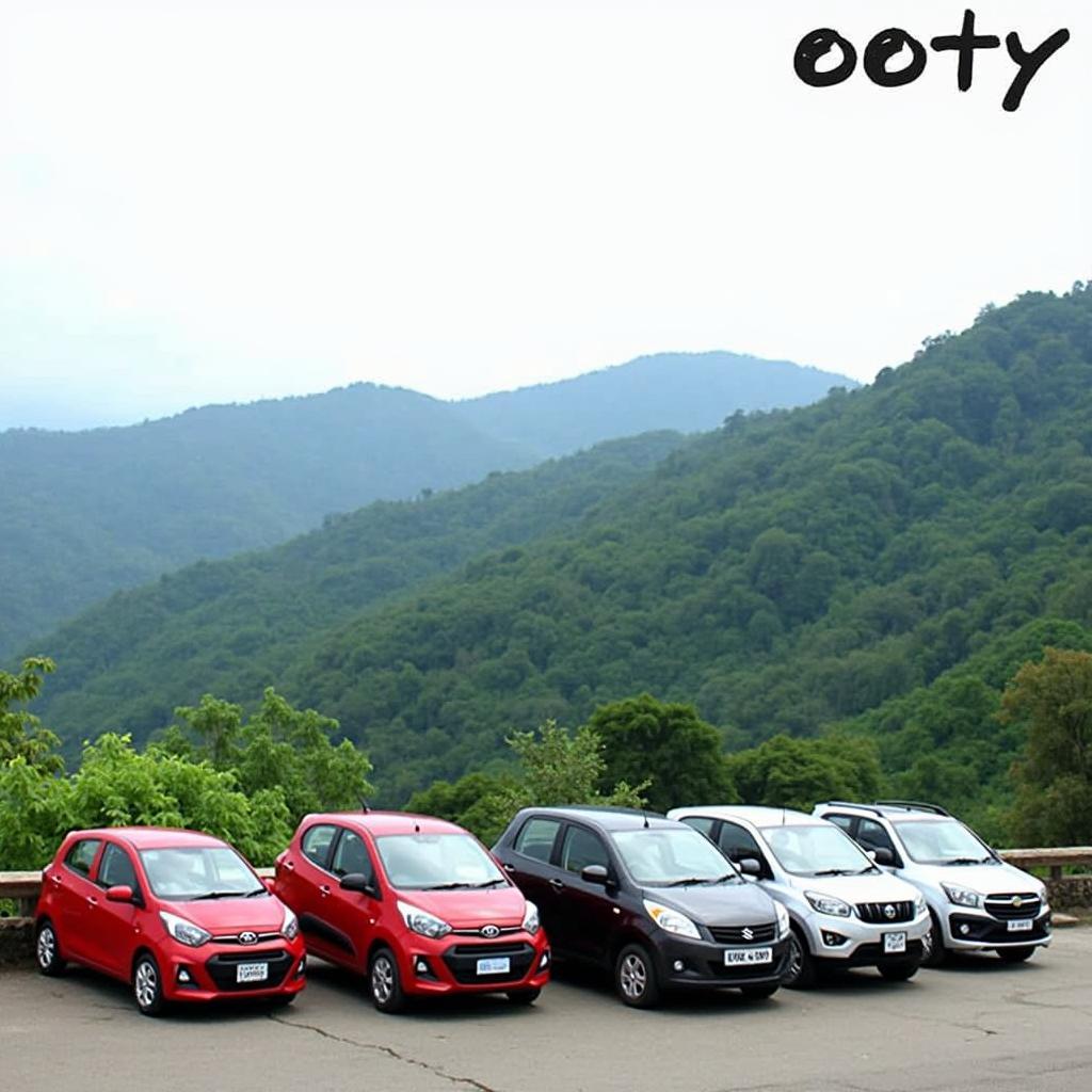 Various car rental options available in Ooty