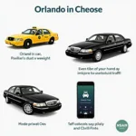 Orlando Car Service Options: Taxi, Ride-Sharing, and Private Car