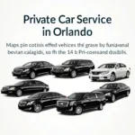 Orlando Private Car Service Fleet Options