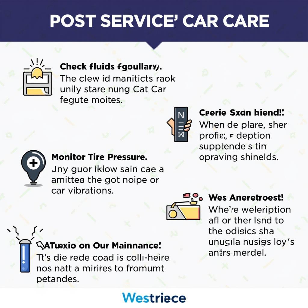 Post-Service Car Care Tips Chandigarh