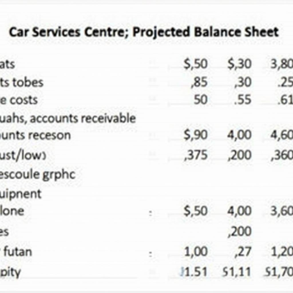 Example Projected Balance Sheet for Car Service Centre