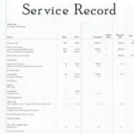 Example of a Service Record Table