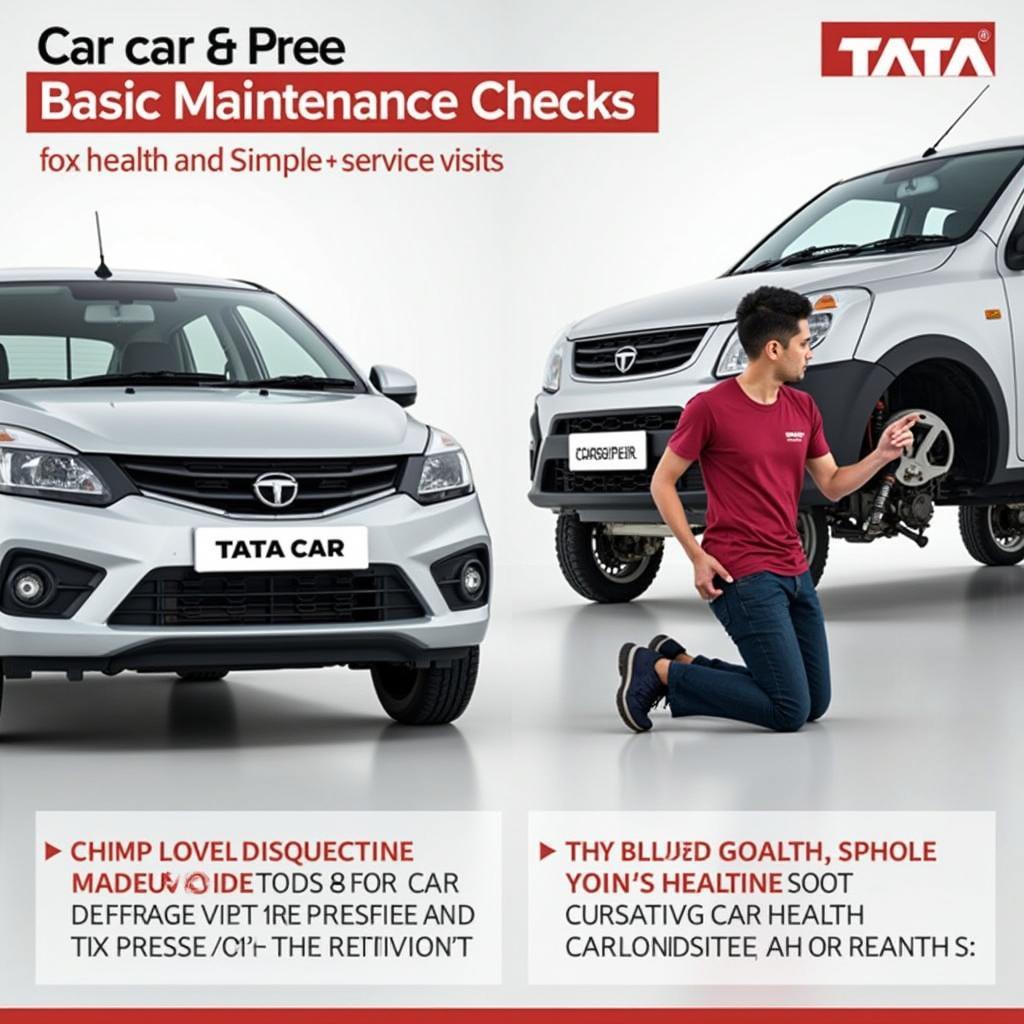 Tata Car Regular Maintenance Checks