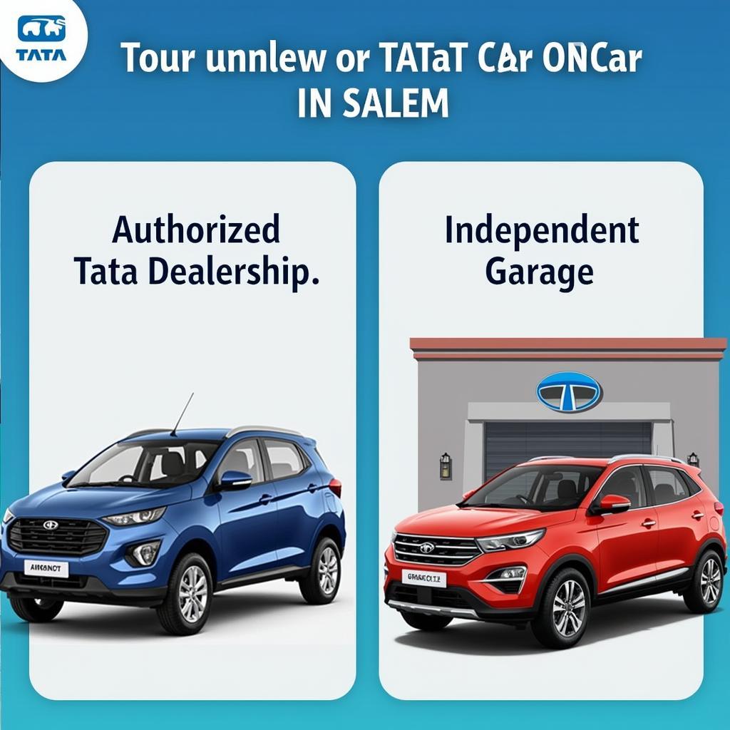 Tata Car Service Center Options in Salem