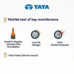 Tata Car Service Maintenance Tips