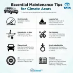 Tata Car Service Maintenance Tips Ernakulam