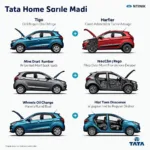 Tata Car Service Needs in Karnal