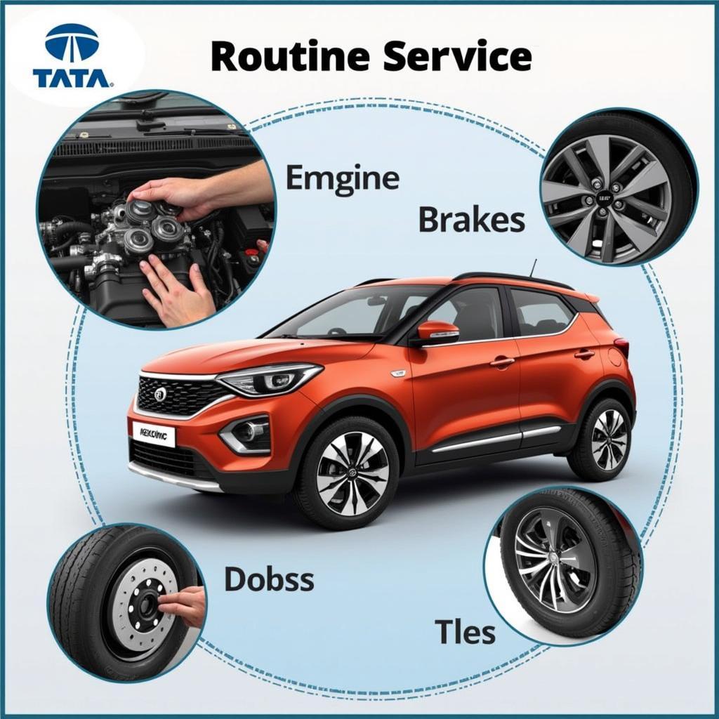 Tata Nexon Service Costs in India