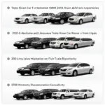 Toms River Car Service Options