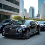 Luxury Vehicles in Houston for Top Car Service