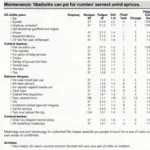 Example Toyota Maintenance Schedule