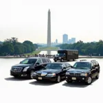 Diverse fleet of cars available for car service in Washington DC