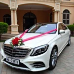 Wedding Car Decoration in Punjab